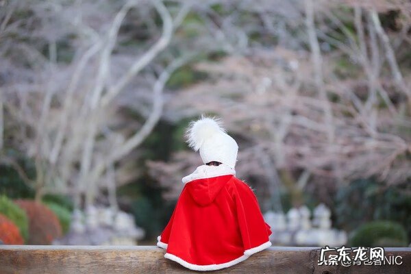 鸟飞进店铺的风水说法 飞鸟时代都城的风水