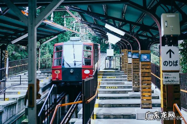 鸟飞进店铺的风水说法 飞鸟时代都城的风水