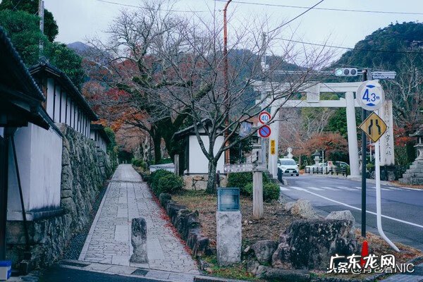 鸟飞进店铺的风水说法 飞鸟时代都城的风水