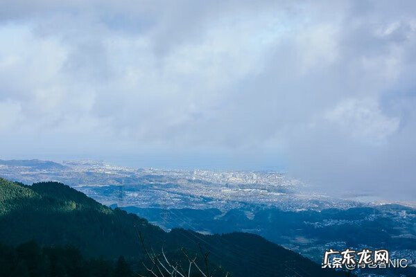 鸟飞进店铺的风水说法 飞鸟时代都城的风水