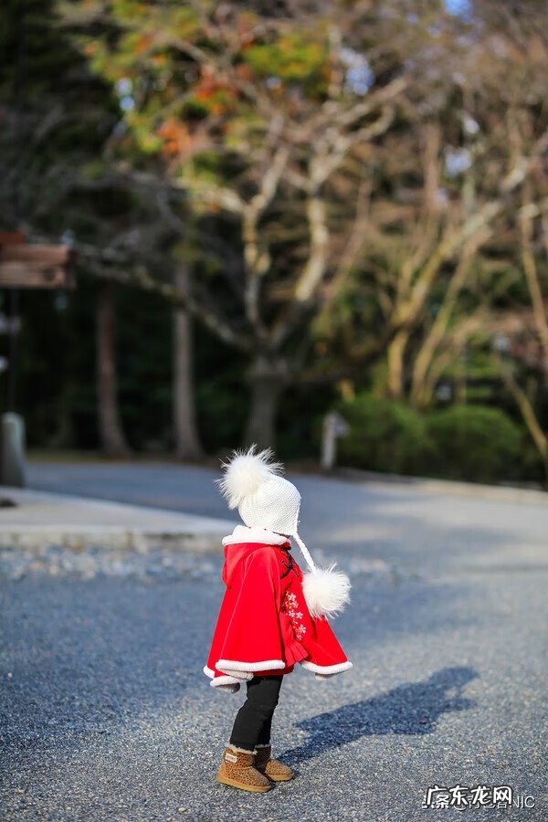 鸟飞进店铺的风水说法 飞鸟时代都城的风水