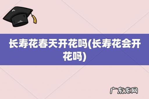 长寿花会开花吗 长寿花春天开花吗
