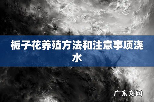 栀子花养殖方法和注意事项浇水