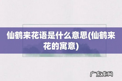 仙鹤来花的寓意 仙鹤来花语是什么意思