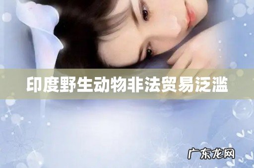 印度野生动物非法贸易泛滥