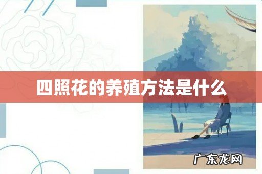 四照花的养殖方法是什么