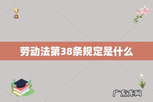 劳动法第38条规定是什么