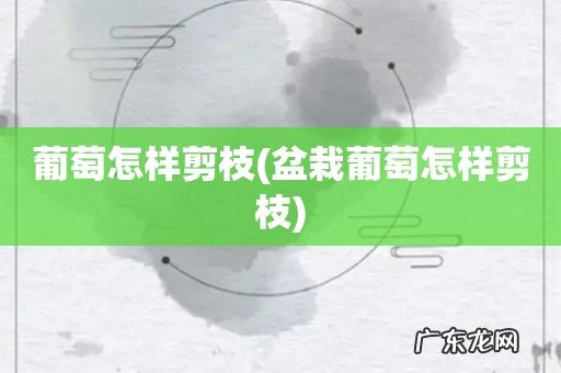 盆栽葡萄怎样剪枝 葡萄怎样剪枝