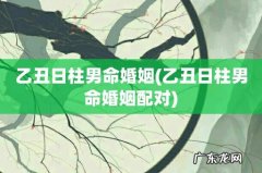 乙丑日柱男命婚姻配对 乙丑日柱男命婚姻