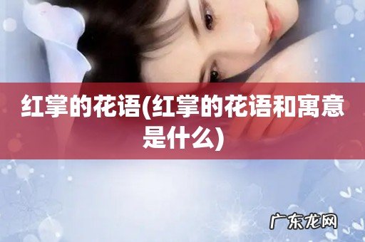 红掌的花语和寓意是什么 红掌的花语