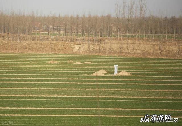 坟地风水真的可信吗 运气好坏和坟山风水的关系图