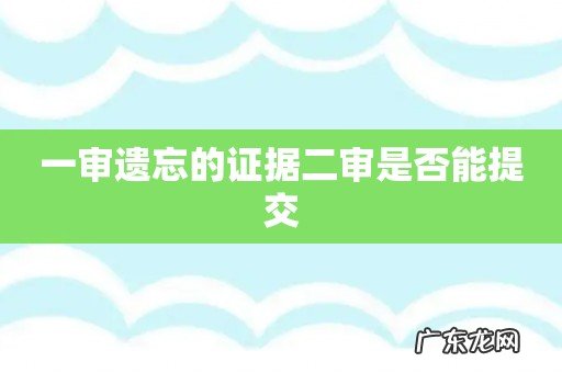 一审遗忘的证据二审是否能提交