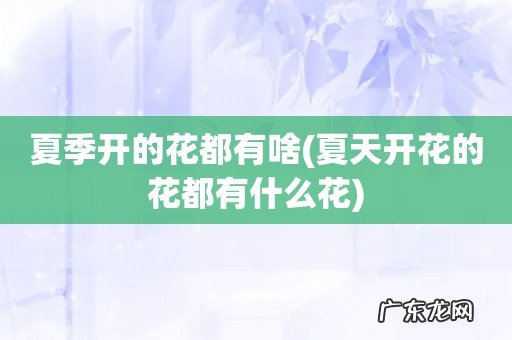 夏天开花的花都有什么花 夏季开的花都有啥