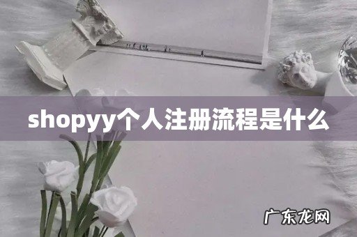 shopyy个人注册流程是什么