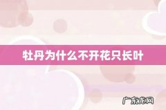 牡丹为什么不开花只长叶