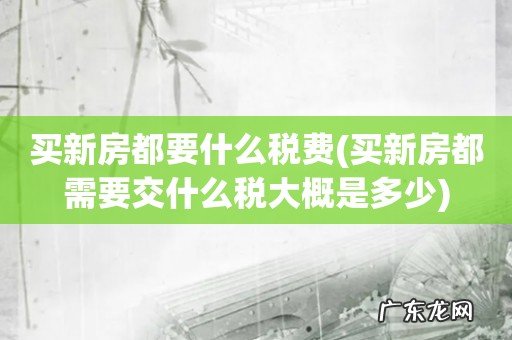 买新房都需要交什么税大概是多少 买新房都要什么税费