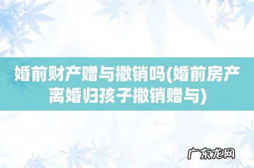 婚前房产离婚归孩子撤销赠与 婚前财产赠与撤销吗
