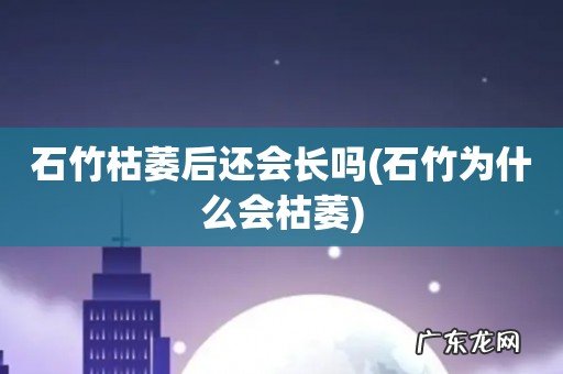 石竹为什么会枯萎 石竹枯萎后还会长吗