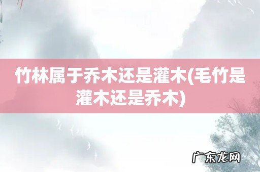 毛竹是灌木还是乔木 竹林属于乔木还是灌木