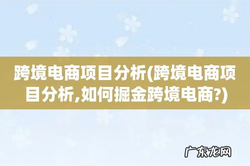 跨境电商项目分析,如何掘金跨境电商? 跨境电商项目分析