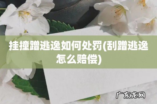 刮蹭逃逸怎么赔偿 挂撞蹭逃逸如何处罚