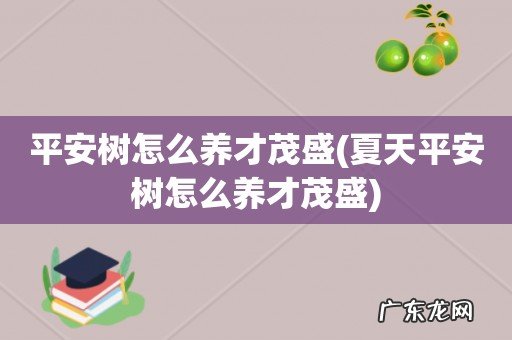 夏天平安树怎么养才茂盛 平安树怎么养才茂盛