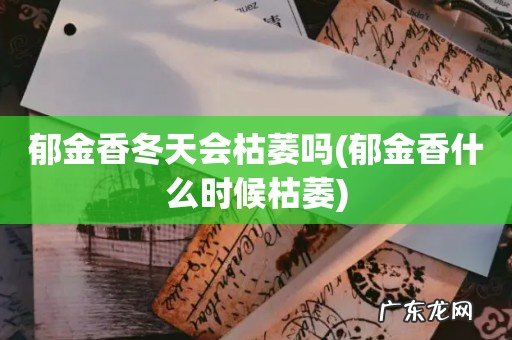 郁金香什么时候枯萎 郁金香冬天会枯萎吗