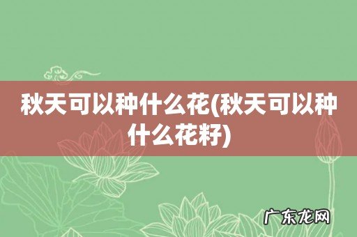 秋天可以种什么花籽 秋天可以种什么花