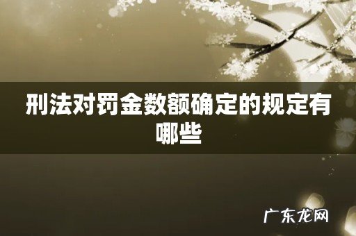 刑法对罚金数额确定的规定有哪些