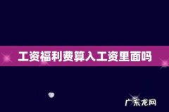 工资福利费算入工资里面吗