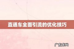 直通车全面引流的优化技巧