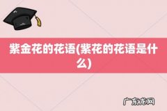 紫花的花语是什么 紫金花的花语