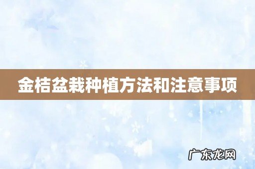 金桔盆栽种植方法和注意事项