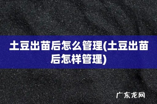 土豆出苗后怎样管理 土豆出苗后怎么管理