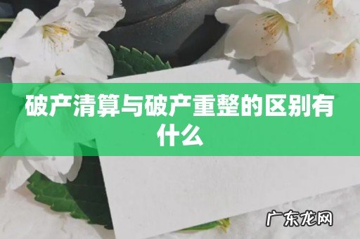 破产清算与破产重整的区别有什么