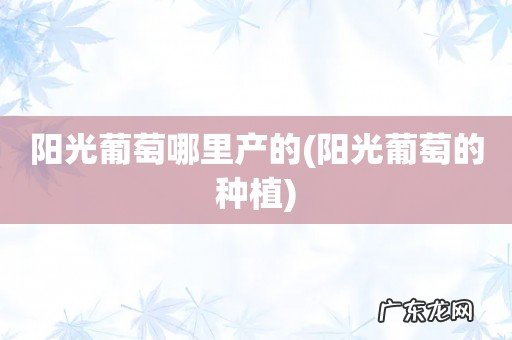 阳光葡萄的种植 阳光葡萄哪里产的