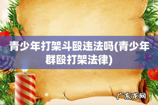 青少年群殴打架法律 青少年打架斗殴违法吗
