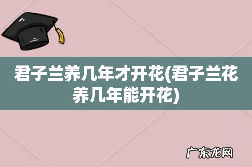 君子兰花养几年能开花 君子兰养几年才开花