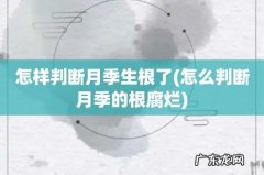 怎么判断月季的根腐烂 怎样判断月季生根了