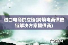 跨境电商供应链解决方案提供商 进口电商供应链