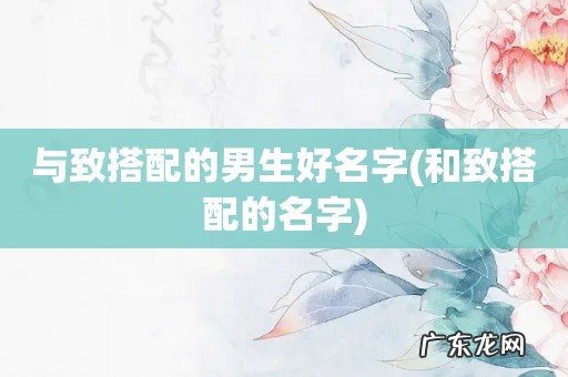 和致搭配的名字 与致搭配的男生好名字