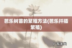 芭乐扦插繁殖 芭乐树苗的繁殖方法