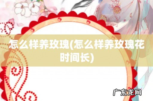 怎么样养玫瑰花时间长 怎么样养玫瑰