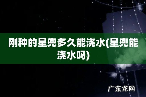 星兜能浇水吗 刚种的星兜多久能浇水