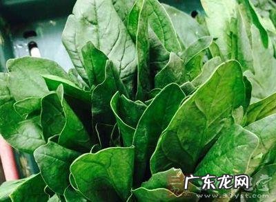 吃完鸡肝不能吃什么水果 鸡肝不能和什么一起吃吗