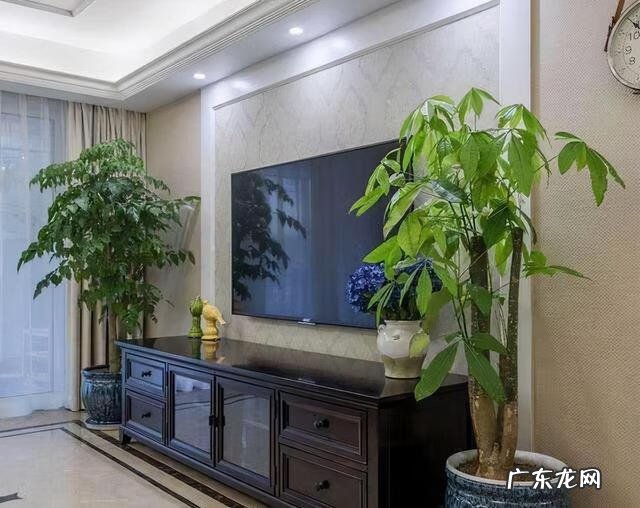 花园风水 居家风水花