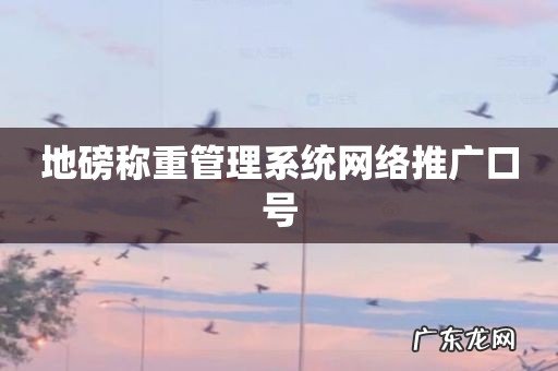 地磅称重管理系统网络推广口号