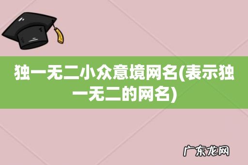 表示独一无二的网名 独一无二小众意境网名