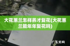 大花蕙兰能年年复花吗 大花蕙兰怎样养才复花