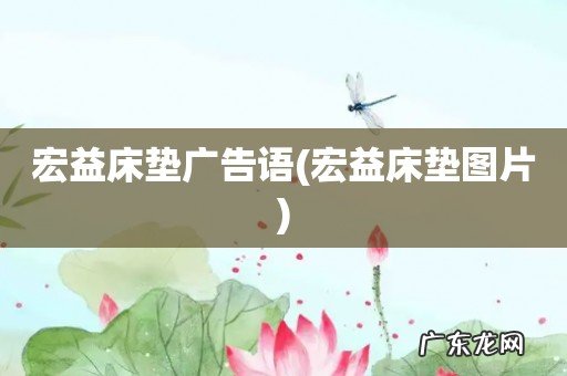 宏益床垫图片 宏益床垫广告语